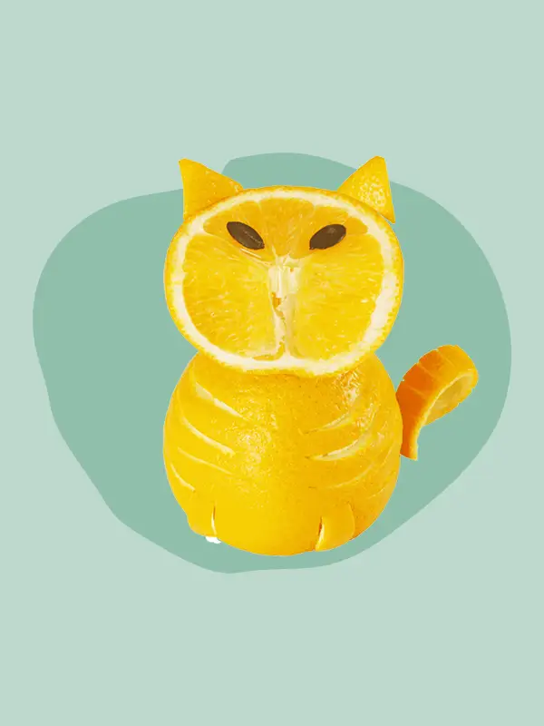 Lustiger Orangenschnitz